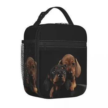 Изолированная сумка для ланча с собакой-таксой, большой контейнер для ланча с сосисками Doxie, сумка-холодильник, тотализатор, ланч-бокс, Офисная дорожная сумка для еды